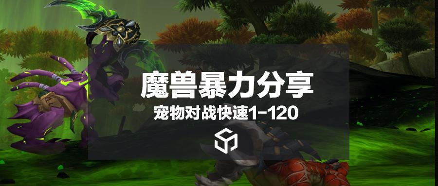 宠物对战升级120魔兽高手养成攻略(如何是边看电影边升级)