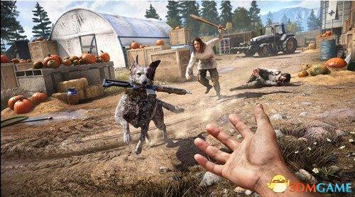 farcry5武器怎么选(孤岛惊魂5武器及装备选择攻略)