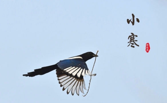 游侠网18