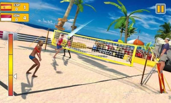 沙滩排球3D安卓版游戏截图（2）