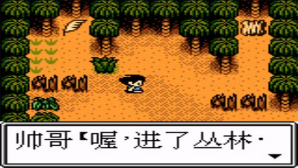 孤岛冒险者手机版游戏截图（2）