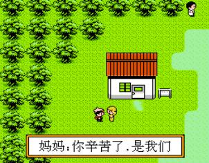 口袋宝石 银手机版游戏截图（2）