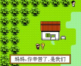 口袋宝石 金手机版游戏截图（1）