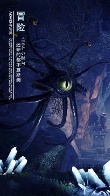 黑暗与光明游戏截图（1）