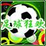 足球狂欢中文