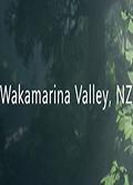 新西兰瓦卡马里纳山谷