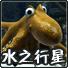 水之行星