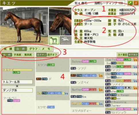 赛马大亨8 详细图文解析攻略 入门篇